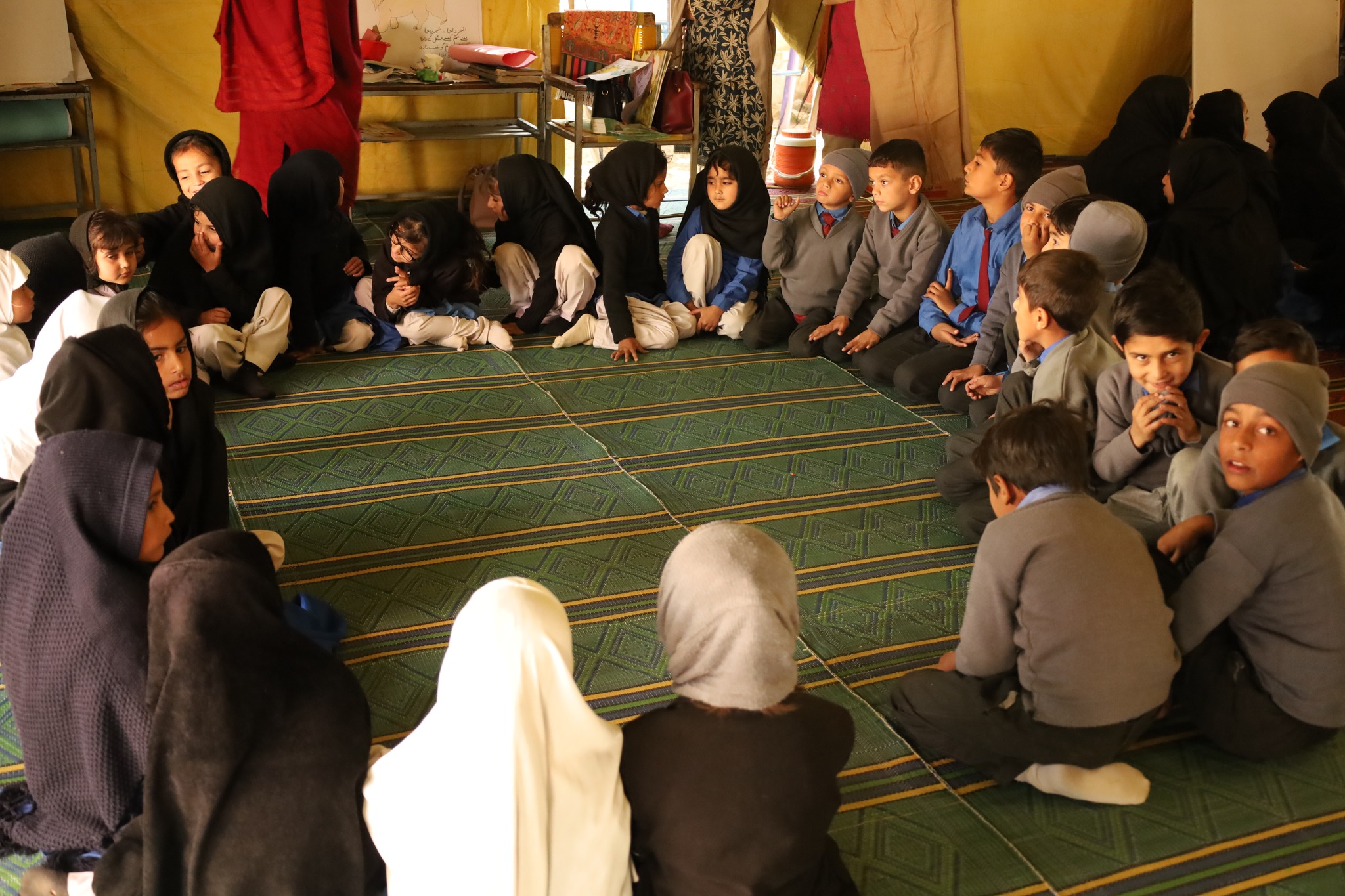 Project activity 5